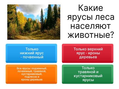 Человек и мир