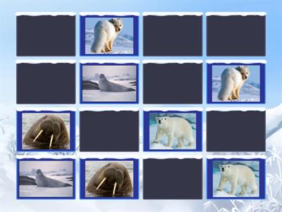 Меморі-гра "Тварини півночі"
