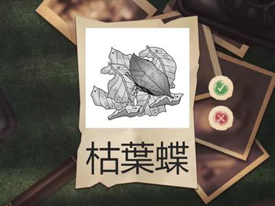 CH3活動2昆蟲如何適應環境與成長