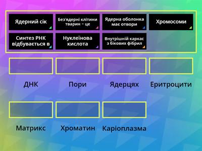 Ядро еукаріот