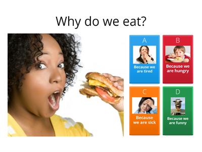 Why Questions (because answers)