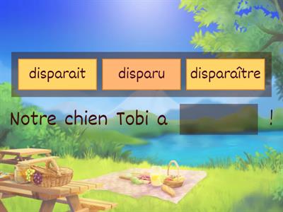 Tobi a disparu ! Partie 1 - Les participes