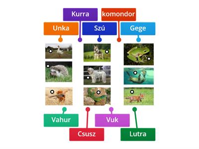 3.a - Vuk 1. és 2. rész állatszereplőinek regénybeli elnevezése 