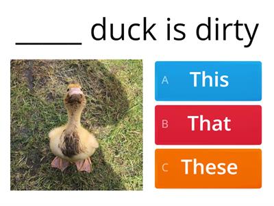 Demonstrative pronouns