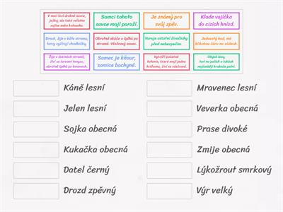 PŘ4 - Ekosystém les (živočichové)  