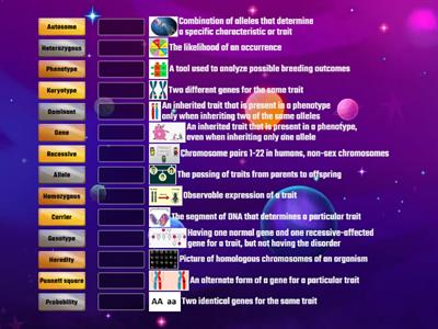 GENETICS VOCABULARY