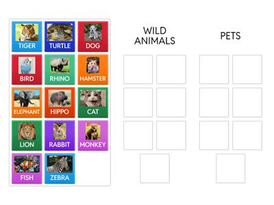 METRO 1 - L22 - Wild Animals x Pets