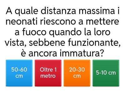 LO SVILUPPO COGNITIVO