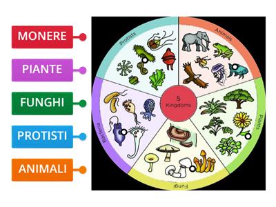  I 5 REGNI DELLA NATURA