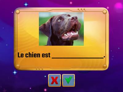 Le français en perspective (II) Unité 4