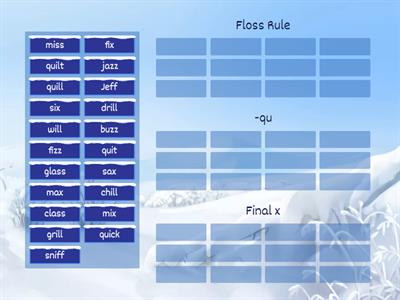 Floss Rule/qu/final x