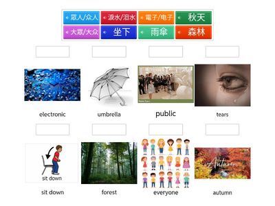 Basic 生词 x 8 (四)