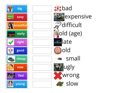 f2f elementary 2A adjectives