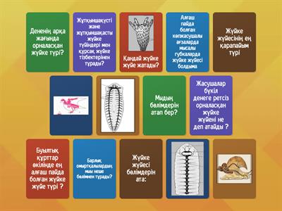 7 сынып Жүйке жүйесі типтері