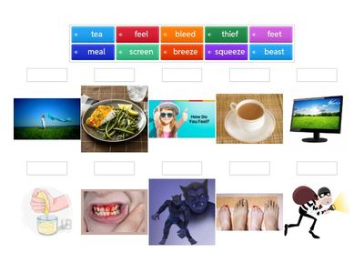 Vocabulary with the /ee/ sound