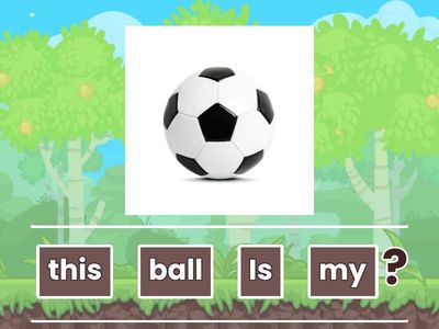 (Unit 5) Questions: Possessive adjectives