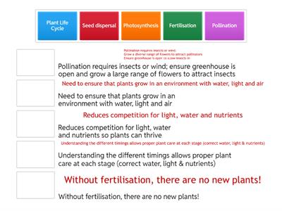 Importance of Life Cycle of Plants in Horticulture