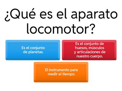 El aparato locomotor