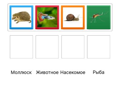 Дидактическая игра