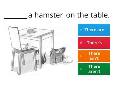 5b-c Affirmative and negative sentences 