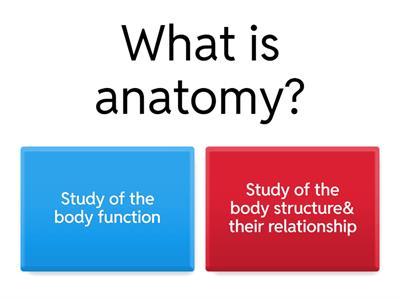 Anatomy (My active recall)