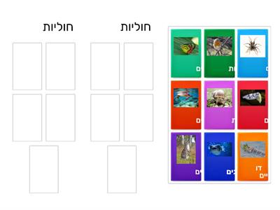  בעלי חיים 