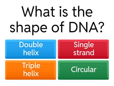 DNA and RNA Structure and Function Quiz
