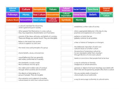 Sociology: Unit 3.1+3.2 Vocab