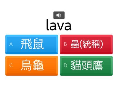 南排-動物-中級