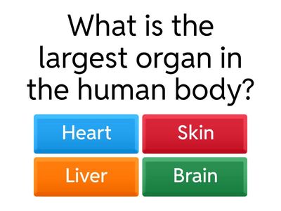 Bones and Organs of the Body