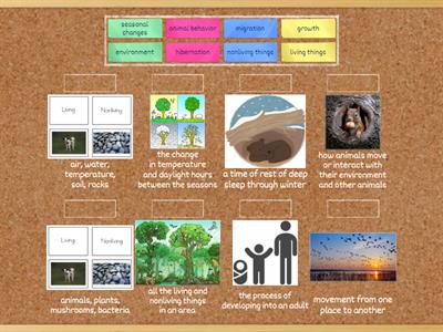 G3_C8L1: Migration and Hibernation (3.12A)