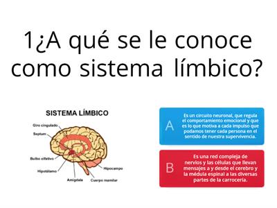 NEUROCIENCIA DE LAS EMOCIONES