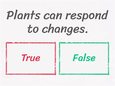 Living things and non-living things