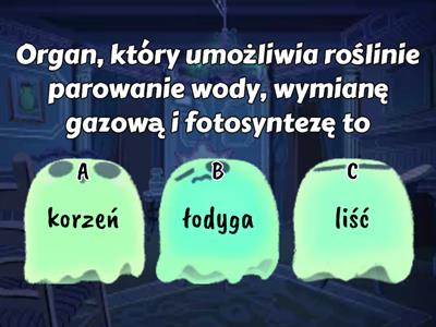 Tkanki i organy roślinne - podsumowanie