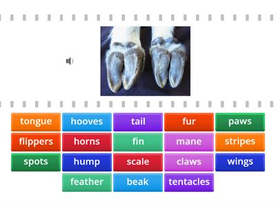 Get Involved A2 Unit 6