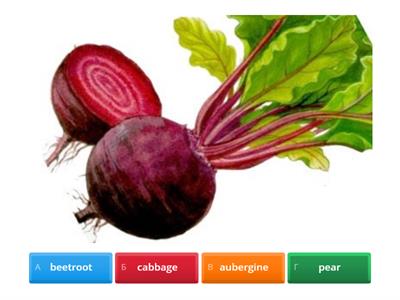 English file Intermediate Unit 1-2 vocabulary review