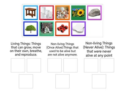  Living or Non-living?