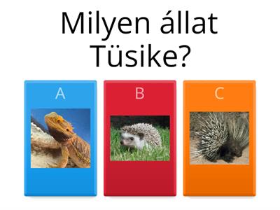 Iskolás lesz Tüsike