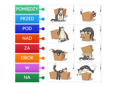 Przyimki KOT