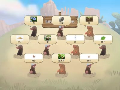 植物的身體部位