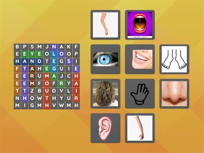 Body Parts Wordsearch