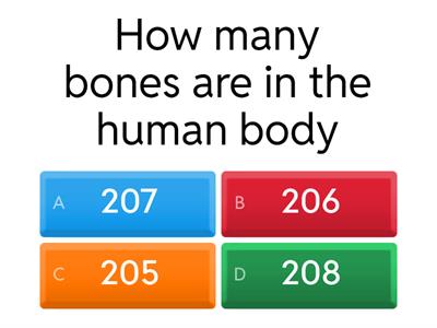 Anatomy