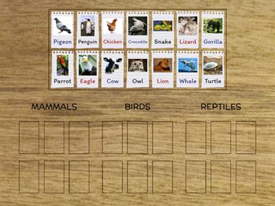 Mammals, Birds and Reptiles