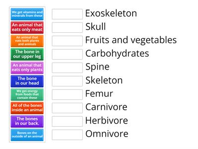 Knowledge recap - Nutrition TS5