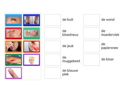NT2 B1 - pijnlijke plekjes