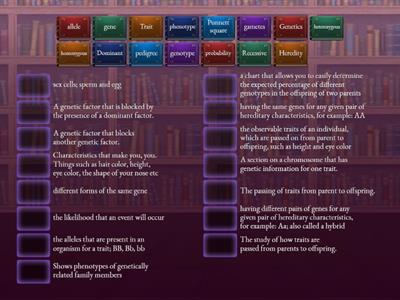 Match Up-Inheritance Terms