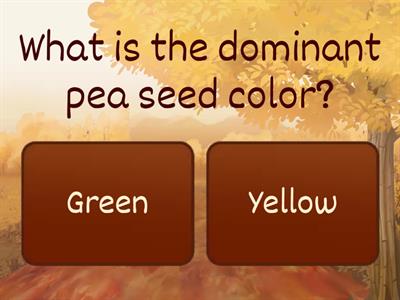 Genetics and Inheritance Quiz