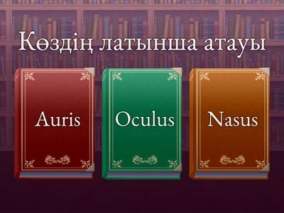 Анатомия-көз