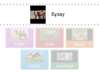 Порно шайтан GIF жылауы мүмкін
