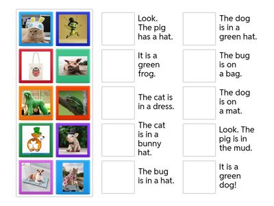 CVC reading + early digraphs + double letters